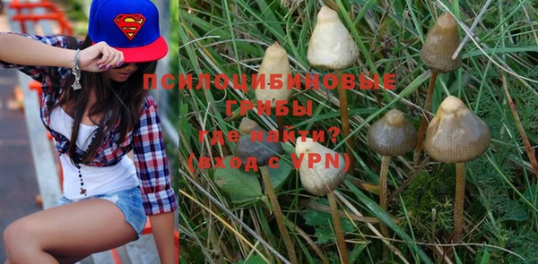 MESCALINE Ельня
