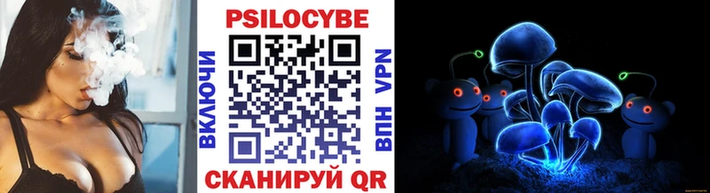 Псилоцибиновые грибы Psilocybe  Купить закладки  Сибай 