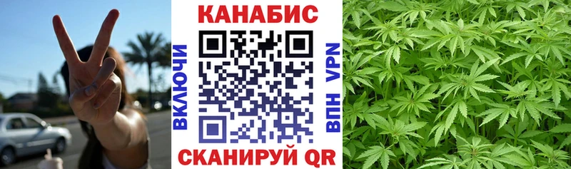 Каннабис сатива Купить где Сибай